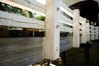 Wildcat Creek (Austa) Covered Bridge