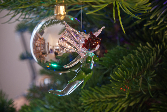 Glass Ornament from Jill
