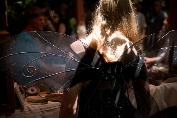Black Wings