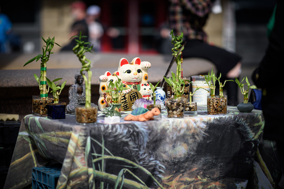 Portland Saturday Market
