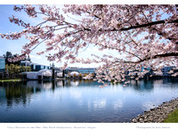 Calendar Page: Photography by Amy Sakurai