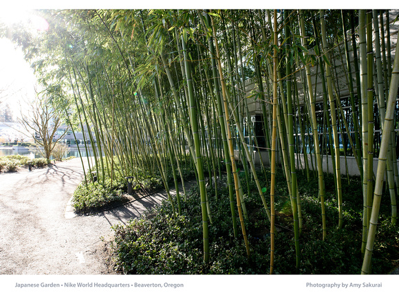 Calendar Page: Photography by Amy Sakurai