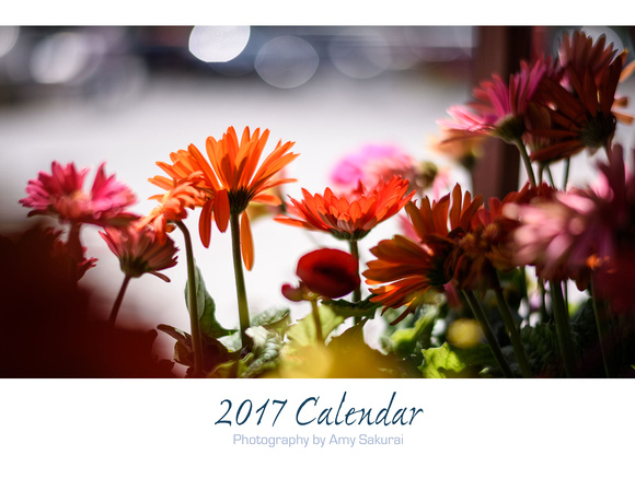 Calendar Page: Photography by Amy Sakurai