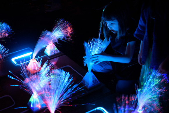 Light Gardening / A Robot at Play by Richard Miner & Tom Barnes