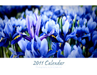 My 2011 Calendar