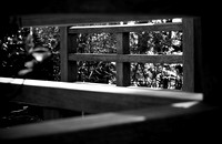 Fence Detail