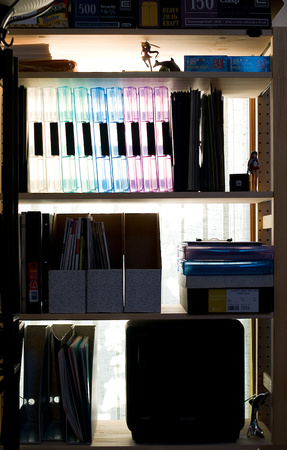 Home Office Bookshelf