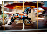 Calendar Page: Photography by Amy Sakurai