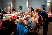 2011 Strawberry Blues Festival