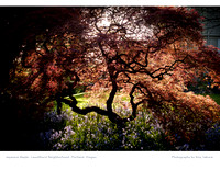 Calendar Page: Photography by Amy Sakurai