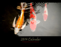 My 2014 Calendar