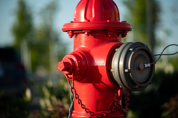 Red Fire Hydrant