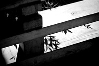 Fence Detail