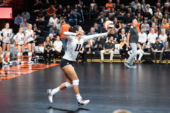 Oregon at OSU Women's Volleyball