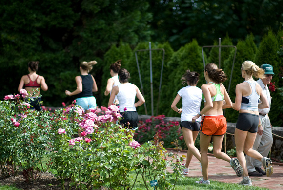 Running 'Round The Roses