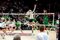 Oregon at OSU Women's Volleyball
