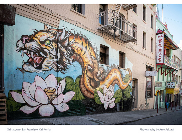 Calendar Page: Photography by Amy Sakurai